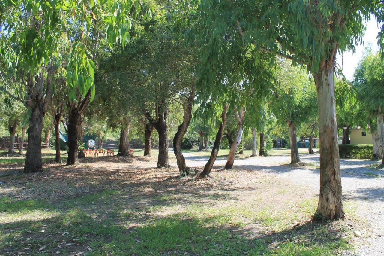 Villaggio Camping מראטיאה מראה חיצוני תמונה
